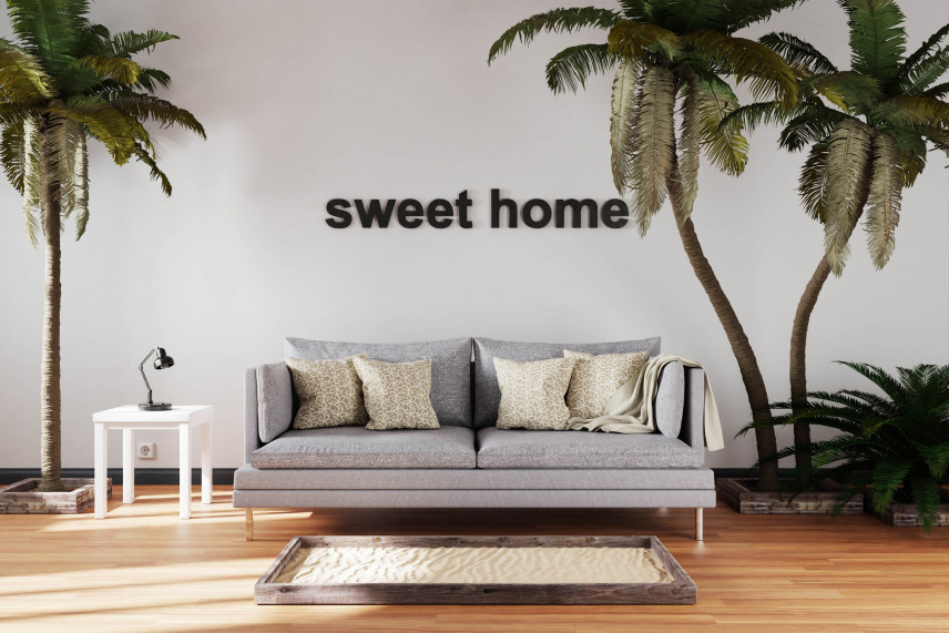 Palma kokosowa w domu, mieszkaniu - jak uprawiać, pielęgnować?