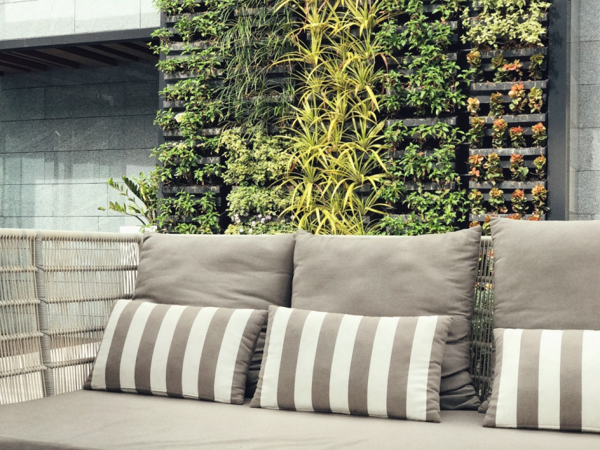 Jak zrobić ogród wertykalny - zielona ściana jak zrobić?