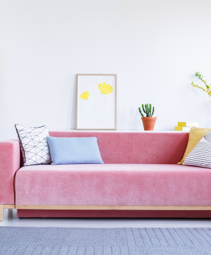 Salon z różową sofą
