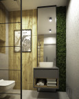 Projekt łazienki z prysznicem walk-in oraz z ogrodem wertykalnym na ścianie