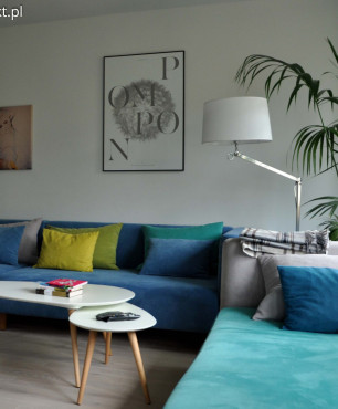 Salon z niebieską sofą oraz ze stolikami kawowymi w stylu holenderskim
