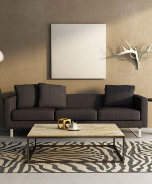 Salon z dywanem z motywem zebry oraz z sofą