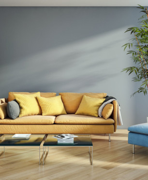 Żółta sofa i niebieski fotel