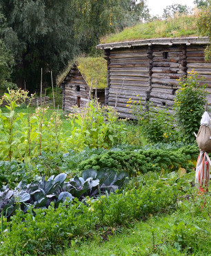 Rustykalny ogród warzywny