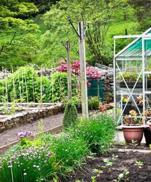 Ogród warzywny ze szklarnią
