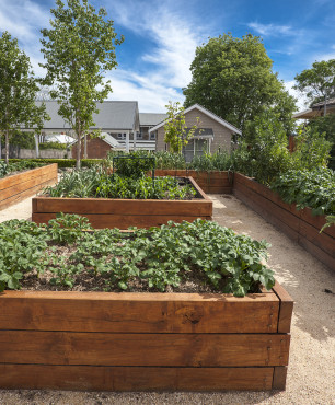 Ogród warzywny skrzynkowy